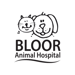 Bloor Animal Hospital